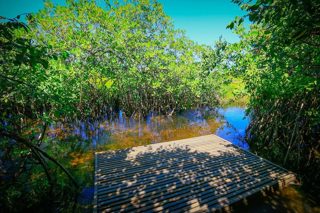 Pousada Ecologica Bangalo De Praia إيتاسيميريم الغرفة الصورة